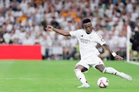 家队的优质 家队的优质