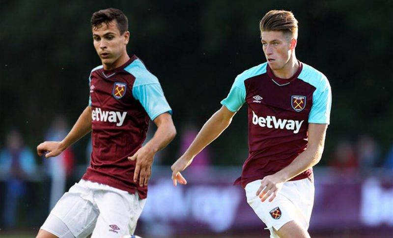 色的组织和 色的组织和